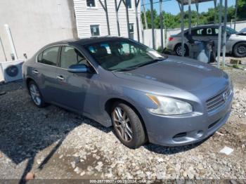  Salvage Nissan Maxima