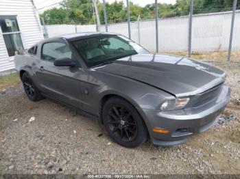  Salvage Ford Mustang