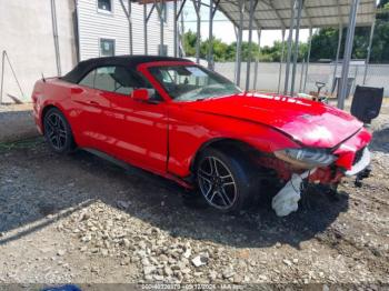  Salvage Ford Mustang