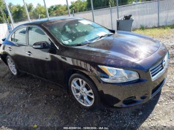  Salvage Nissan Maxima