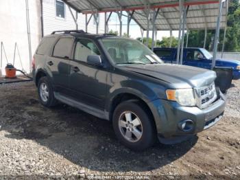  Salvage Ford Escape