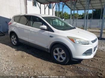  Salvage Ford Escape