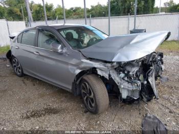  Salvage Honda Accord