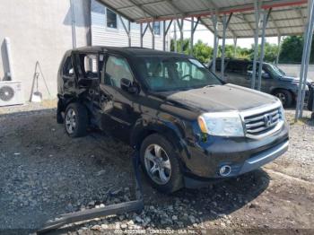  Salvage Honda Pilot