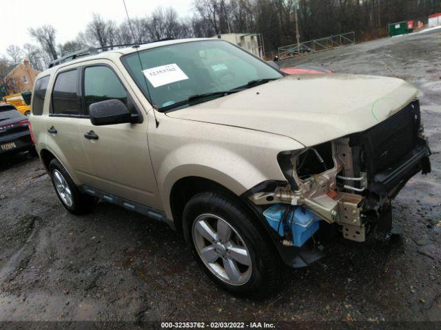  Salvage Ford Escape