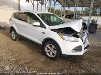  Salvage Ford Escape