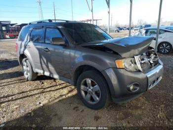  Salvage Ford Escape