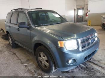  Salvage Ford Escape