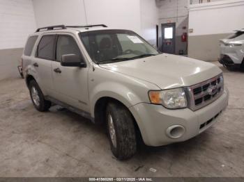  Salvage Ford Escape