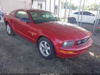  Salvage Ford Mustang