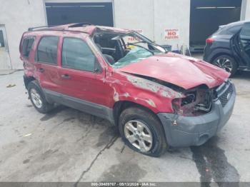  Salvage Ford Escape