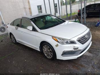 Salvage Hyundai SONATA
