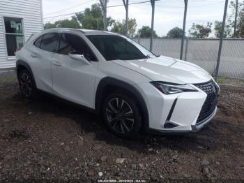  Salvage Lexus Ux